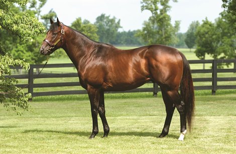 Sky Mesa at Three Chimneys