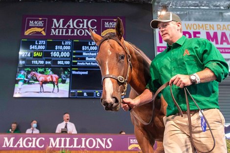 Magic Millions 2022 Perth Yearling Sale, Lot 274