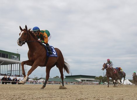 Classic Causeway wins Sam F. Davis Stakes Saturday, February 12, 2022 at Tampa Bay