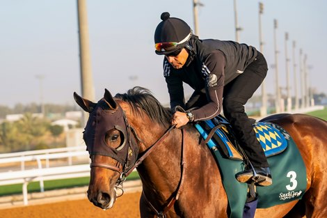 Tuesday Morning Trackwork 22nd Feb 2022 King Abdulaziz Racecourse, Riyadh, Saudi Arabia Horse: COUNTRY GRAMMER<br><br />
Trainer: BOB BAFFERT