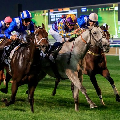 Batwan wins the 2022 Lincoln Nautilus Handicap at Meydan</p></p>
<p><p>