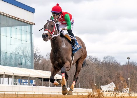 Fille d&#39;Esprit wins 2022 Conniver Stakes at Laurel Park