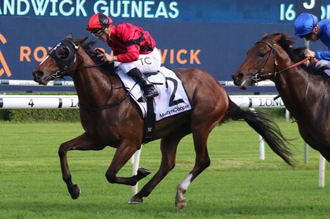 Converge wins the 2022 Randwick Guineas at Randwick Racecourse<br><br />
ridden by Tim Clark and trained by Gai Waterhouse and Adrian Bott