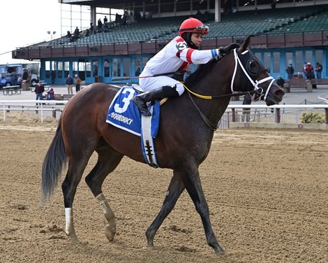 Officiating wins the 2022 Tom Fool Handicap at Aqueduct