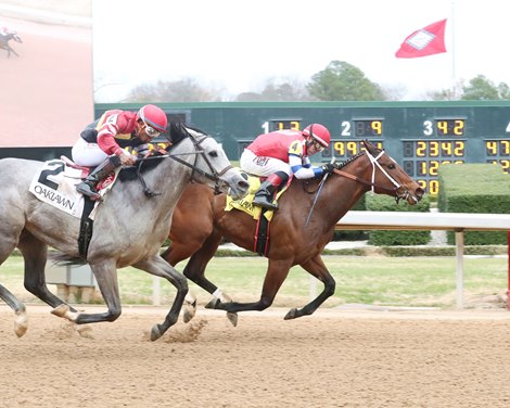 Connie K wins 2022 Downthedustyroad Breeders & # 39;  Shares in Oaklawn . Park