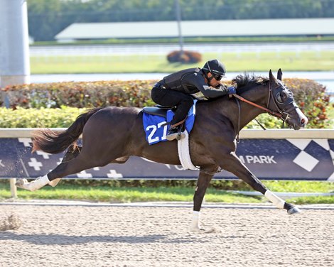 Hip 27 works 18 in 10.2, 2022 Fasig-Tipton Gulfstream Sale