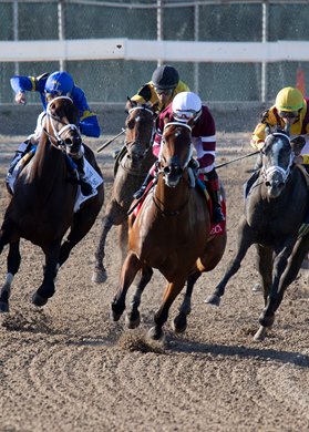 3/23/2022 - Echo Zulu with Joel Rosario aboard turns into the stretch and goes on to win the 59th running of the Grade II $400,000 Fair Grounds Oaks