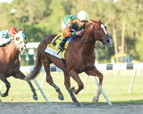 Classic Causeway Wins Tampa Bay Derby Saturday, March 12, 2022 at Tampa Bay Downs