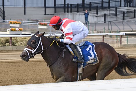 Officating wins Tom Fool Handicap 2022 at Aqueduct