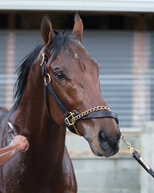 Plainsman - Bath - 033022 - Oaklawn Park