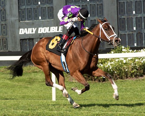 Shifty She Wins Distaff Turf Stakes on Sunday, March 27, 2022 at Tampa Bay Downs