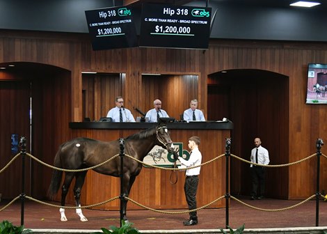 2022 OBS March, Hip 318