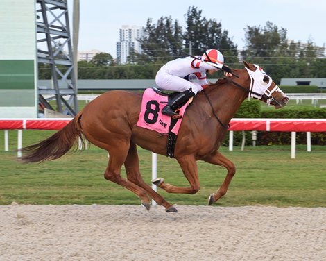 Headline Hunter wins the 2022 Captiva Island Stakes at Gulfstream Park