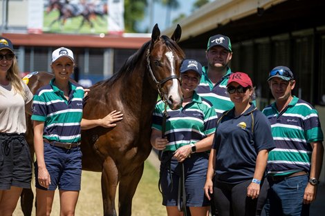 Magic Millions 2022 Gold Coast March Yearling Sale Lot 274