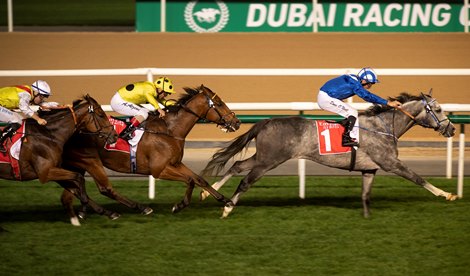 Alfareeq (Dane O&#39;Neill) wins the Group 1 Jebel Hatta <br><br />
Meydan, 5.3.22r