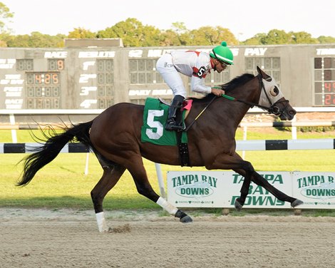 Cattin wins 2021 inaugural stake in Tampa Bay Downs