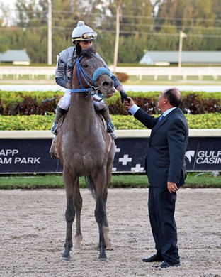 Simplification wins the 2022 Fountain of Youth Stakes at Gulfstream Park