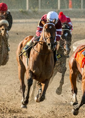 3/26/2022 - Epicenter turns for home passes horse and goes on to win the Louisiana Derby at Fair Grounds