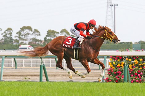 Jack d & # 39;  Or win Kinko Sho on Sunday, March 13, 2022 in Chukyo at Chukyo Circuit in Japan