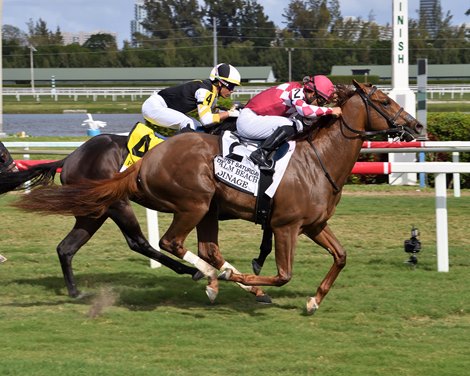 Coins won in 2022 Palm Beach Stakes at Gulfstream Park