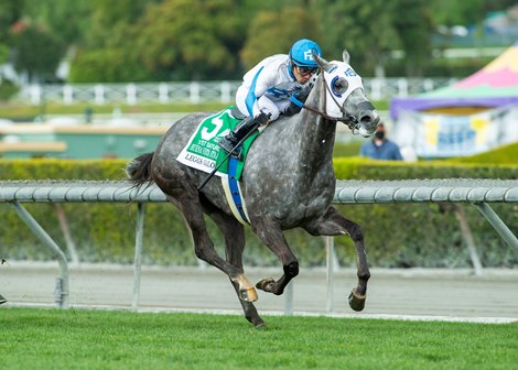 Leggs Galore wins the 2022 Buena Vista Stakes at Santa Anita Park