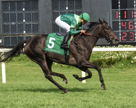 Bleecker Street wins 2022 Hillsborough Stakes at Tampa Bay Downs