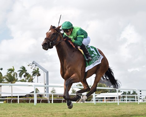 Virginia Joy wins The Very One Stakes 2022 at Gulfstream Park