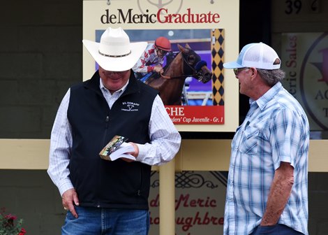 Scene, 2022 OBS Spring Sale