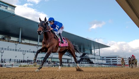 Speaker's Corner wins the Carter Handicap at Aqueduct Race Track Saturday April 9, 2022 in Ozone Park, N.Y.