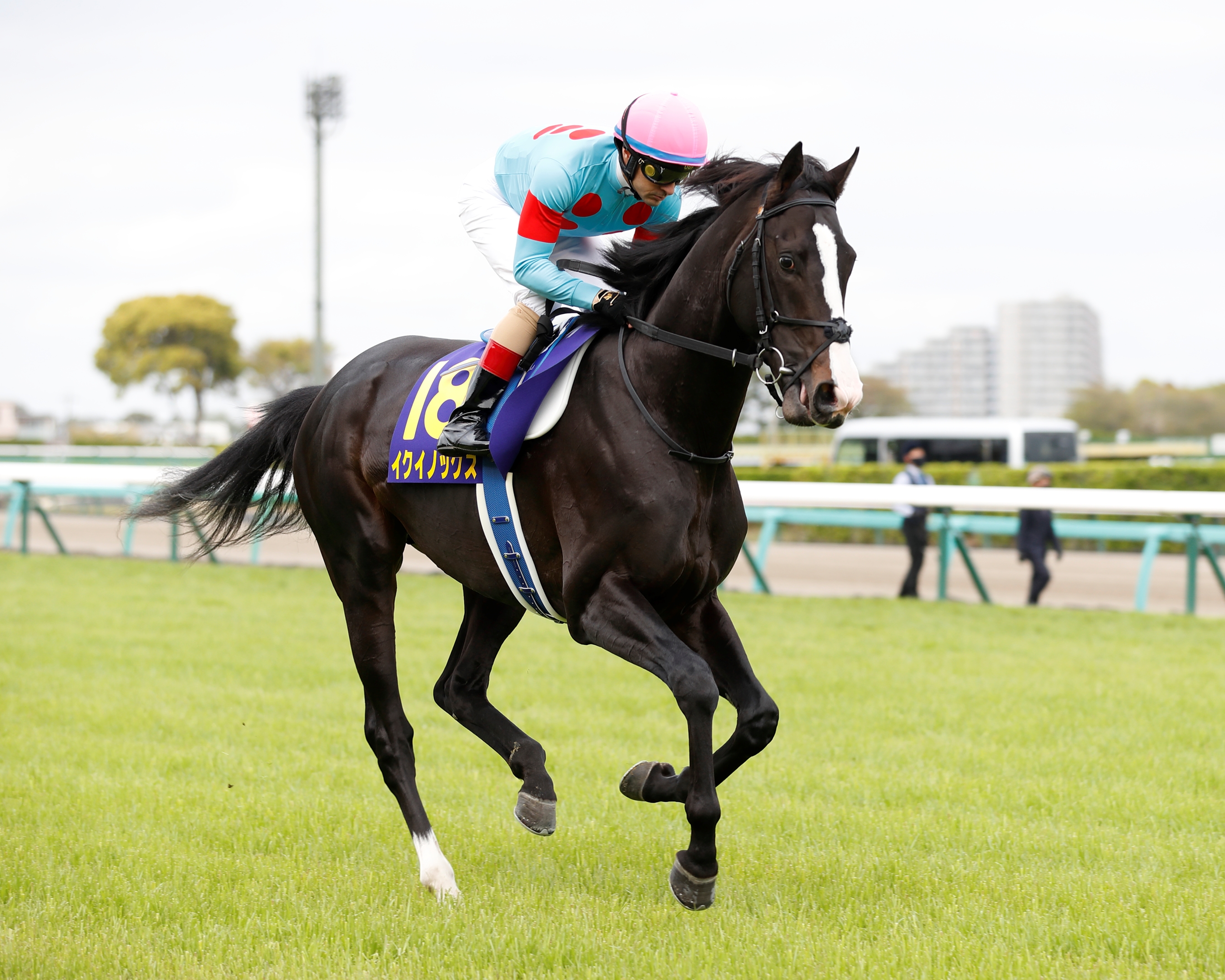 Geoglyph Continues Japanese Triple Crown Bid in Derby - BloodHorse