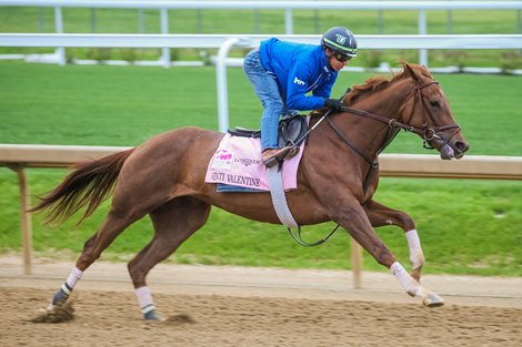 Venti Valentine works under Tyler Gaffalione at Churchill Downs. 04.29.2022