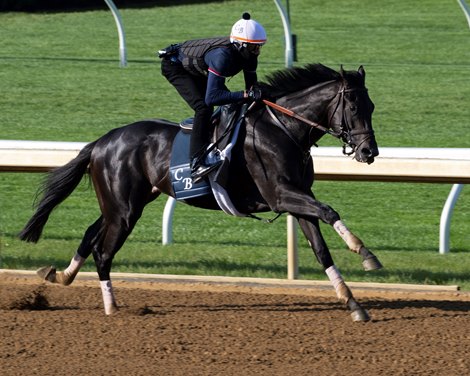 Zandon works a half in :48.60 <br><br />
Training at Keeneland on April 23, 2022.