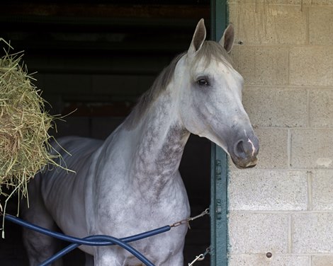 Highest Honors in the Chad Brown barn at Keeneland in Lexington, Ky. on April 16, 2022