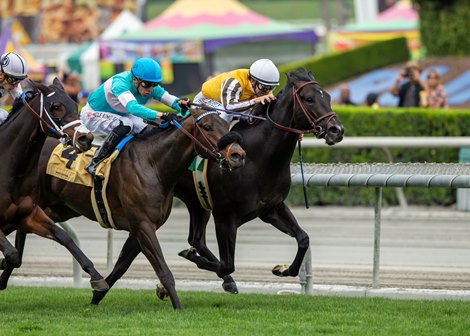 Sumter and jockey Mike Smith, right, overpower Balnikhov (Juan Hernandez), middle, and Handy Dandy (Ryan Curatolo), left, to win the $100,000 Singletary Stakes, Saturday, April 2, 2022 at Santa Anita Park, Arcadia CA.