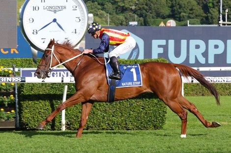 Nature Strip wins the 2022 TJ Smith Stakes at Randwick Racecourse<br><br />
ridden by James McDonald and Trained by Chris Waller