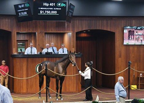 2022 OBS Spring, Hip 401