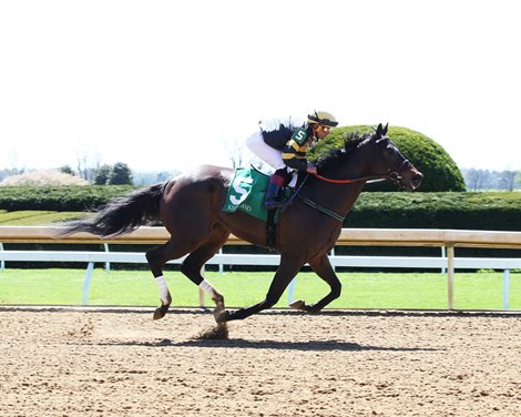 Baby Yoda - STR, Keeneland, April 14, 2022