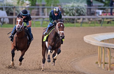 April 30, 2022: Wood Memorial winner Mo Donegal (R), Irad Ortiz jr. up, works four furlongs Saturday morning in-company with My Prankster