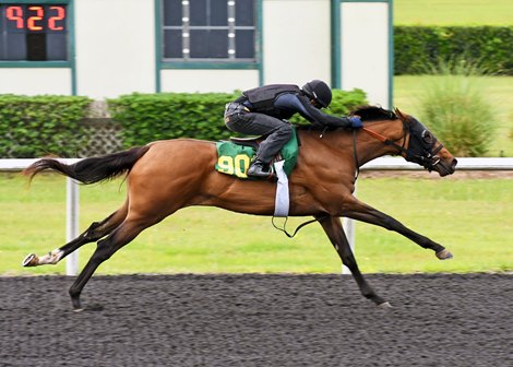 2022 OBS Spring Sale, Hip 901