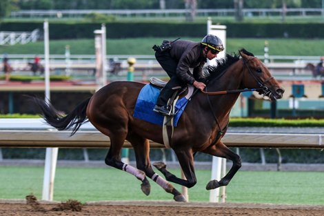 Messier works at Santa Anita, April 29, 2022