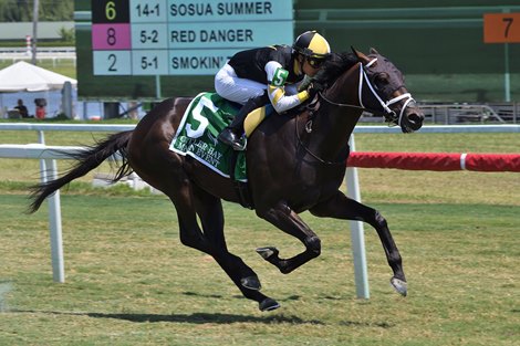 Main Event wins the 2022 Cutler Bay Stakes at Gulfstream Park