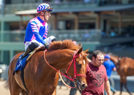Alfred Pais' Brickyard Ride and jockey Juan Hernandez make easy work of the Grade III $100,000 Kona Gold Stakes Saturday, April 30, 2022 at Santa Anita Park, Arcadia, CA.<br>
Benoit Photo