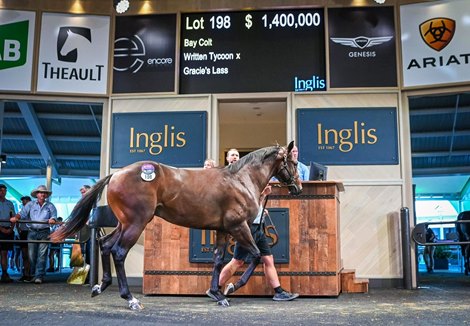 Lot 198, 2022 Inglis Easter Yearling Sale