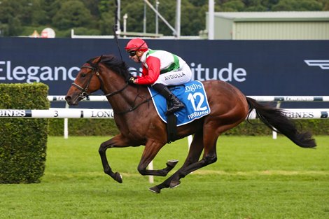 Fireburn wins the 2022 Sires Produce Stakes at Randwick Racecourse<br><br />
ridden by Brenton Avdulla and trained by Gary Portelli