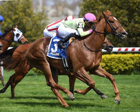 Horsemen Ready for Return of Fall Racing at Pimlico - TrueNicks.com