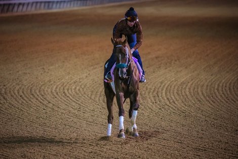 Secret Oath gallops at Churchill Downs. 04.29.2022