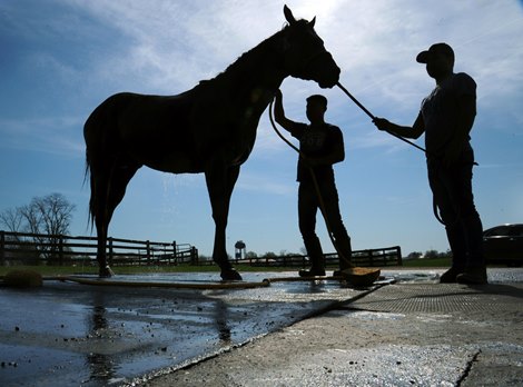 April 23, 2022: Groom Andres Garcia holds two time Breeders&#39; Cup Champion Golden Pal, while groom Jose Garcia hoses him off after his morning work...<br><br />
Rick Samuels/The Blood-Horse