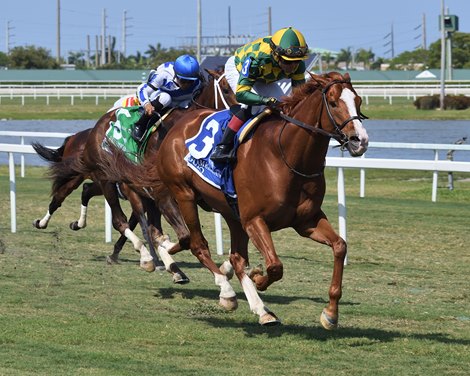 Gufo wins the 2022 Pan American Stakes at Gulfstream Park