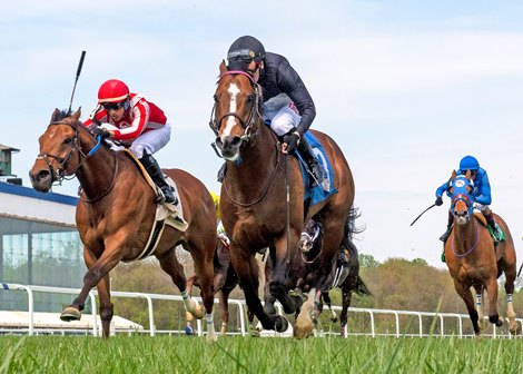 True Valour wins the King T. Leatherbury Stakes Saturday, April 23, 2022 at Laurel Park