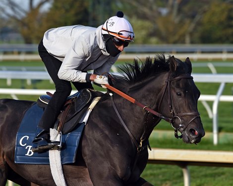 April 17, 2022: Blue Grass Stakes winner Zandon stretches his legs at Keeneland